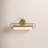 Ellen 21-In Wall/Picture Light-1792236553