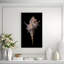 Shell Study II Print by Harold Davis-26939030