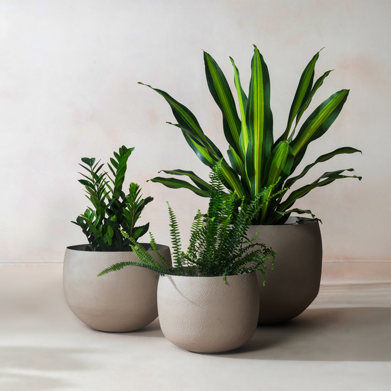 Pot à fleurs rond fait à la main intérieur / extérieur avec drainage Eden, Grand, Mousse