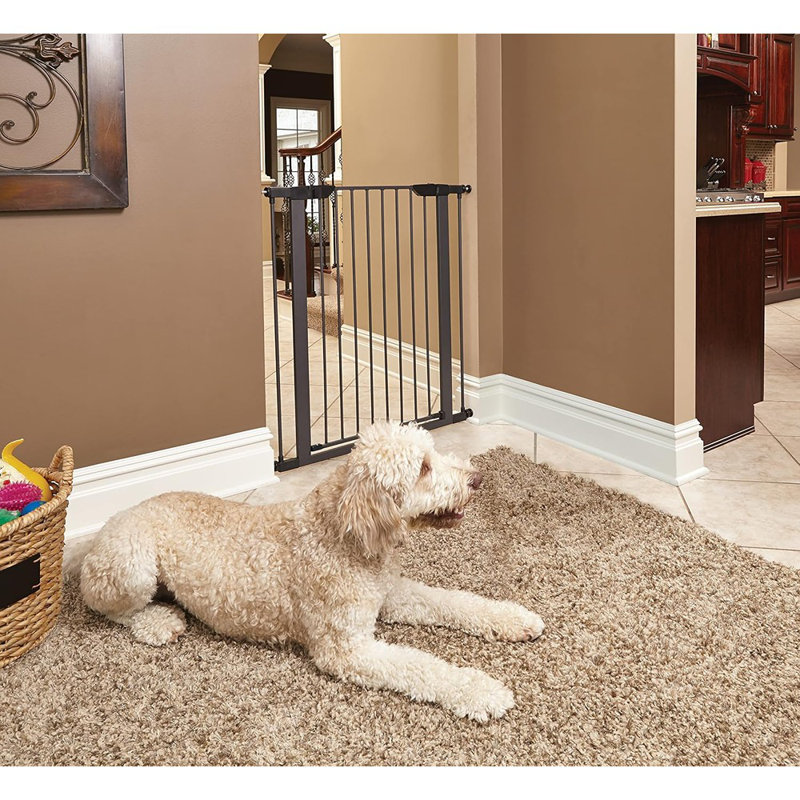 Cage en acier pour animaux de 39 po de hauteur Midwest Homes For Pet