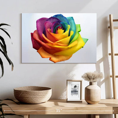 Rose Harnek
