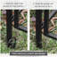 Arche de jardin 85 po en métal avec barrière - treillis pour vignes, rehaussement de la cérémonie de mariage, barrière noire, décoration d'escalade idéale,