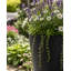 Steph Tall Round Plant Pot, Contemporary Concrete Effect Tall Planter, Round Indoor and Outdoor Vase Planter with Drainage Hole-91631665-91631675