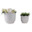 Ensemble de pots de jardin en grès et en céramique à bord festonné pour l'intérieur et l'extérieur de 2 à 10 po, 7 po ivoire
