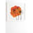 " Orange Poppies " by Morgan Kendall-22036906-22036951