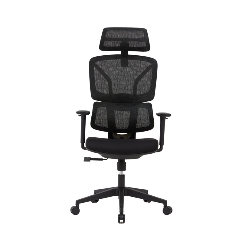 Demani Office Chair with Headrest, Black