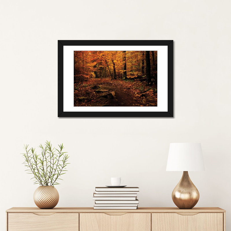 «Autumn Path» par Nathalie Mikaels - Impression sur toile, Papier d'art encadré noir, Blanc, H 16 po x l 24 po x P 1 po
