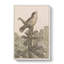 Singing Bird on Pine Tree by Theo Van Hoytema - Wrapped Canvas-61847002