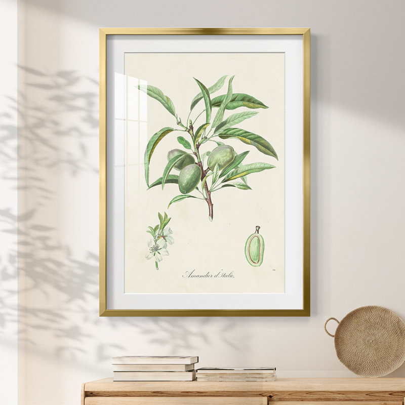 Bosco -Gallery Wrapped Canvas