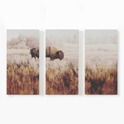 Lone Ranger | Impression sur toile 3 panneaux