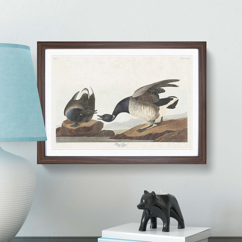 Brant Geese by John Audubon - Picture Frame Painting Print, 27cm H x 36cm W x 2cm D, Walnut Framed