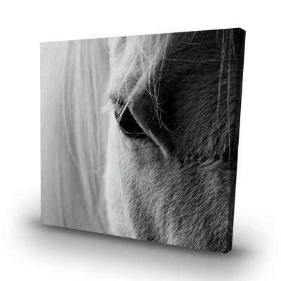 The horse eye - 32"x32" art on canvas