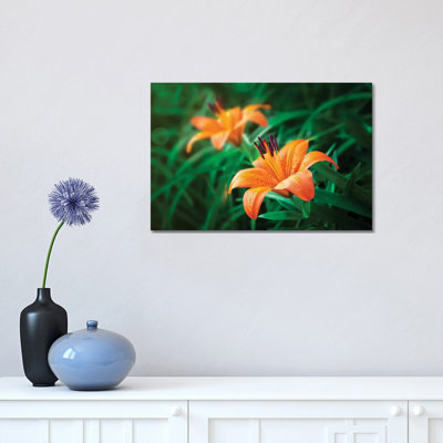Jonathan Ross Photography " Tiger Lilies " by Jonathan Ross Photography