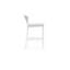 Catalina Patio Bar Stool with Cushion-1541184427-1540790094