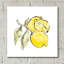 «Lemon Still Life II» par Chris Paschke-101632185