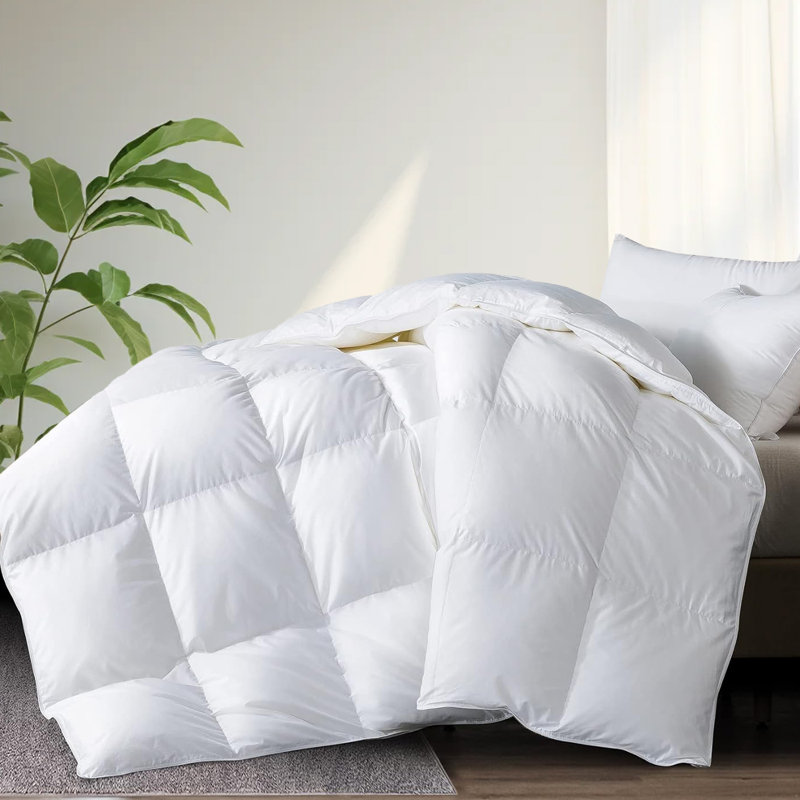 Hotel Quality Baffle Box Feather Down Comforter/ Duvet Insert, Queen, Queen