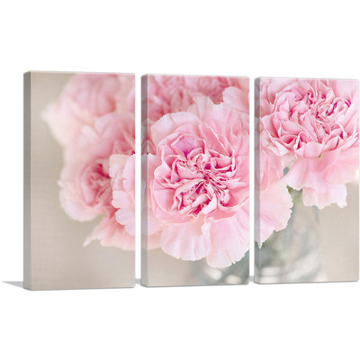 Œillet rose - ensemble de 3 reproductions de photos sur toile tendue