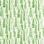 Ferns - Juniper