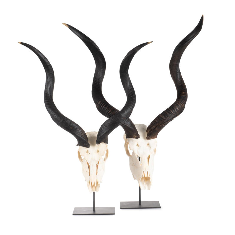Mounted Kudu Skull, 36" H x 21" W x 10" D