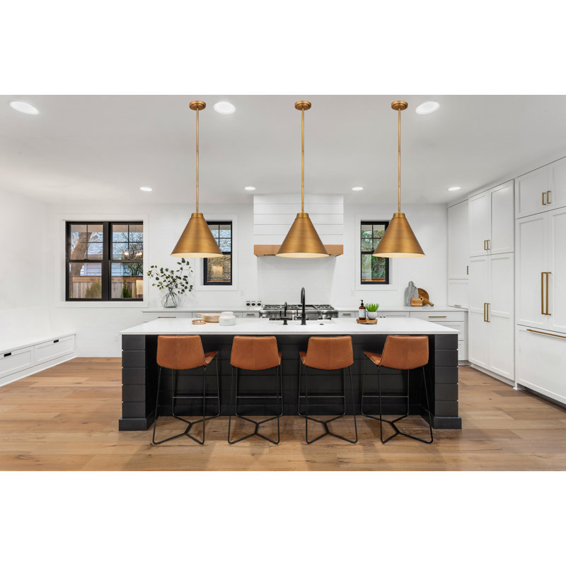 Haveman 1-Light Dimmable Adjustable Length Pendant, 18.5" H x 18" W x 18" D, Rubbed Brass