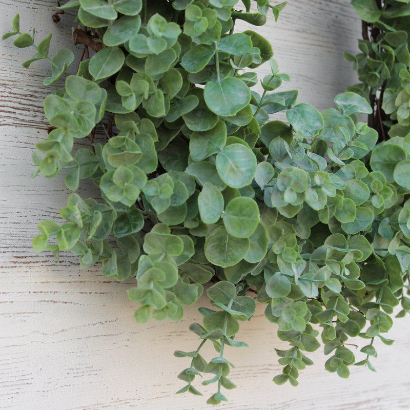 Couronne en mélange de PVC et PE en eucalyptus Everyday, H 26 po x l 26 po x P 6 po