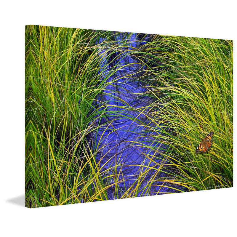 Chris Vest - Wrapped Canvas Print, 30cm H x 45cm W x 3.81cm D