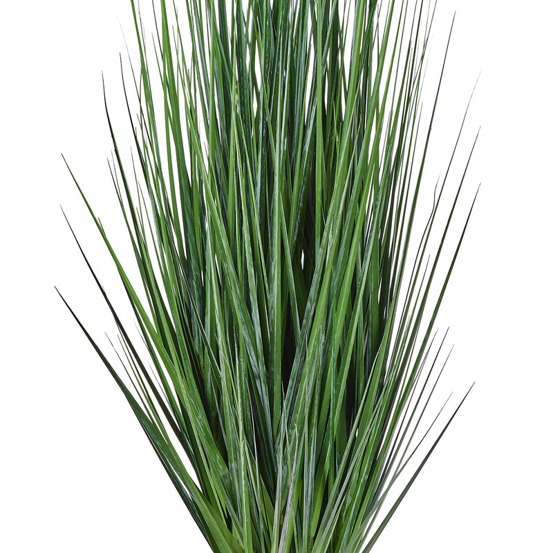 Herbe d'agave en pot 60 po UV, 60 po x 17 po