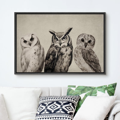Bird " Duotone Owl Portraits Vintage Antique Farmhouse Decor Nature Animals Modern Art Cozy Decor "