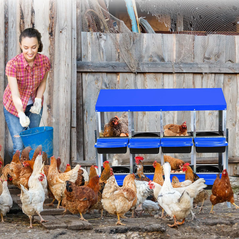 Boîtes de nidification à poulets 6/8/10, Bleu