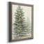 «Majestic Pine I», reproduction d'art sur toile-888775102