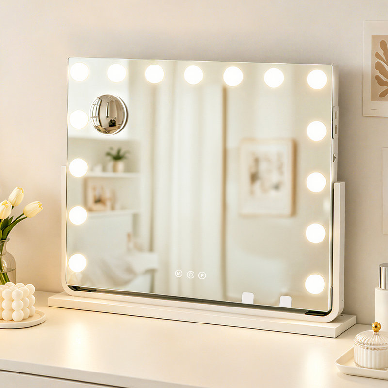 Denas Metal Rectangle Mirror with Hooks