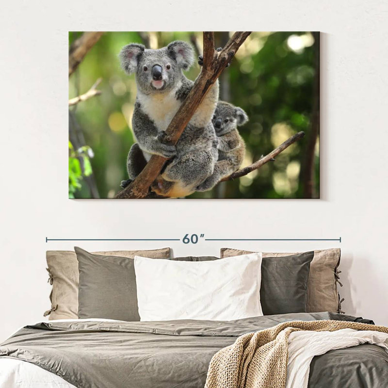 Australian Koala Bears, 34" H x 51" W