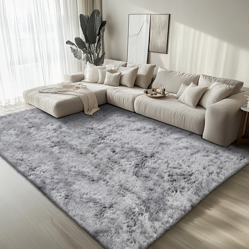 Area Rugs for Bedroom Living Room, Fluffy Fuzzy Shag Shaggy Soft Plush Carpet, Indoor Floor  Rug for  Decor Aesthetic