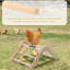 Prevent Rotation Chick Perch
