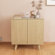 Jaley 2 - Door Accent Cabinet