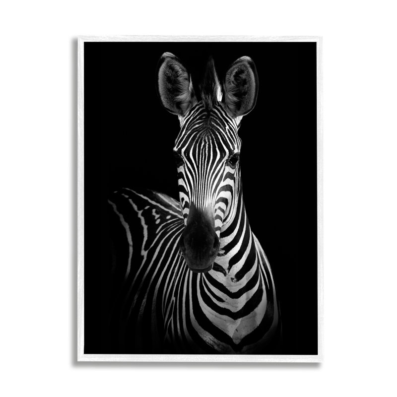 Striking Greyscale Monochromes Zèbre Photographie Portrait par Incado - impression, H 14 po x l 11 po x P 1,5 po