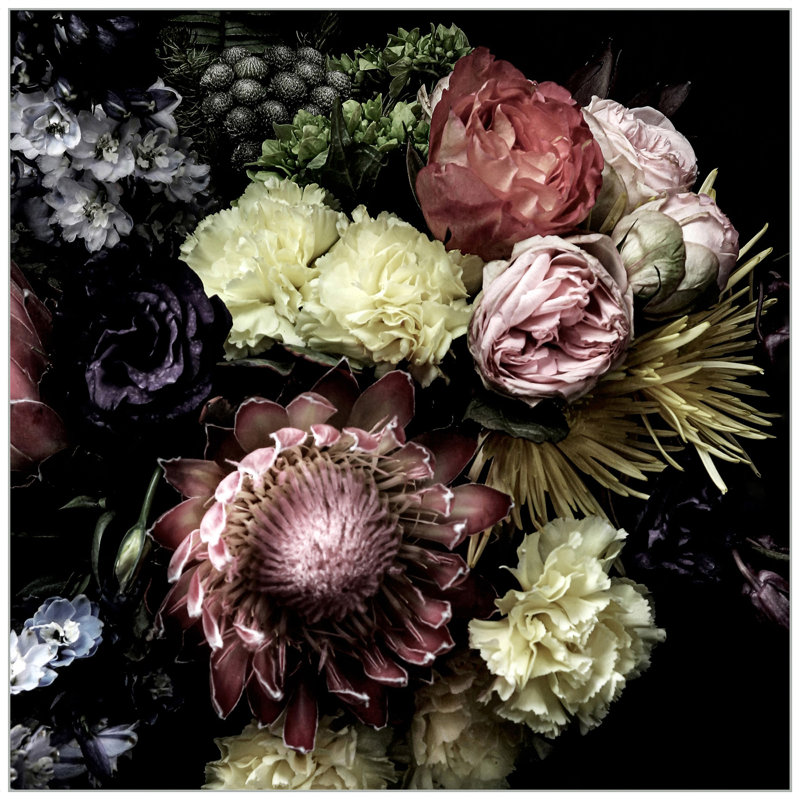 Nature morte avec Protea
