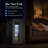 Northair 21°f Ultra-low Temperature Beer Fridge - Precise Temperature Control Glass Door Refrigerator, Perfect For Home & Commercial Use