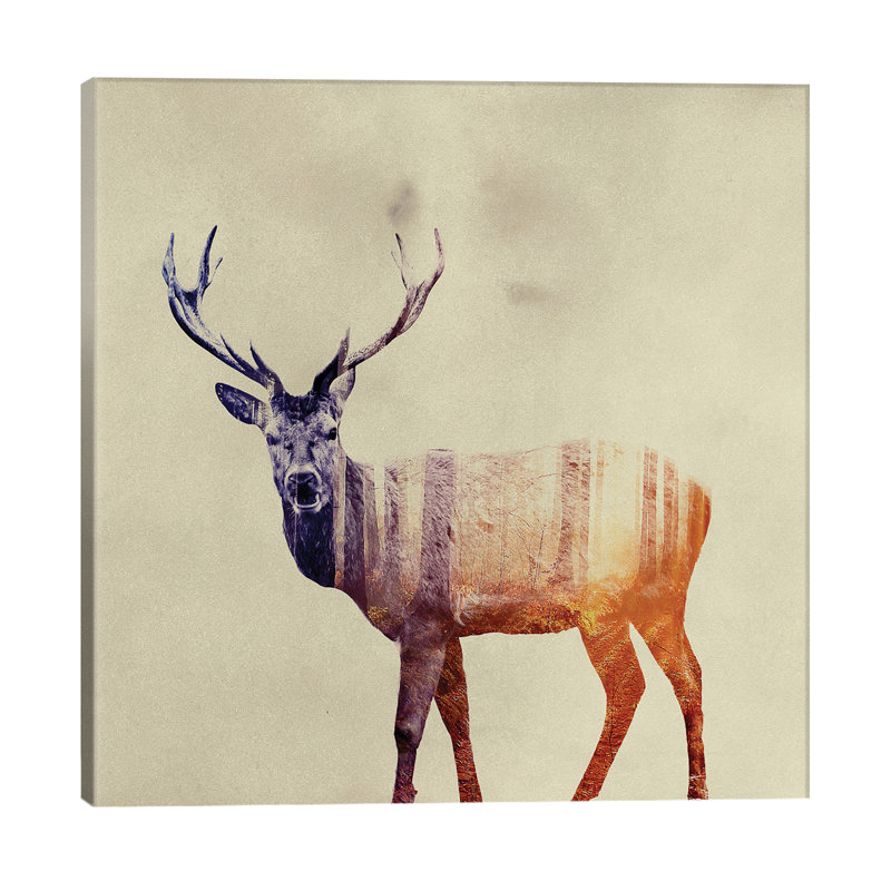 Deer I by Andreas Lie - Print on Canvas, 66.04 cm H x 66.04 cm W x 1.91 cm D, No Frame