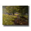 Awsaf Bétail par le ruisseau - Impression sur toile tendue-794908238