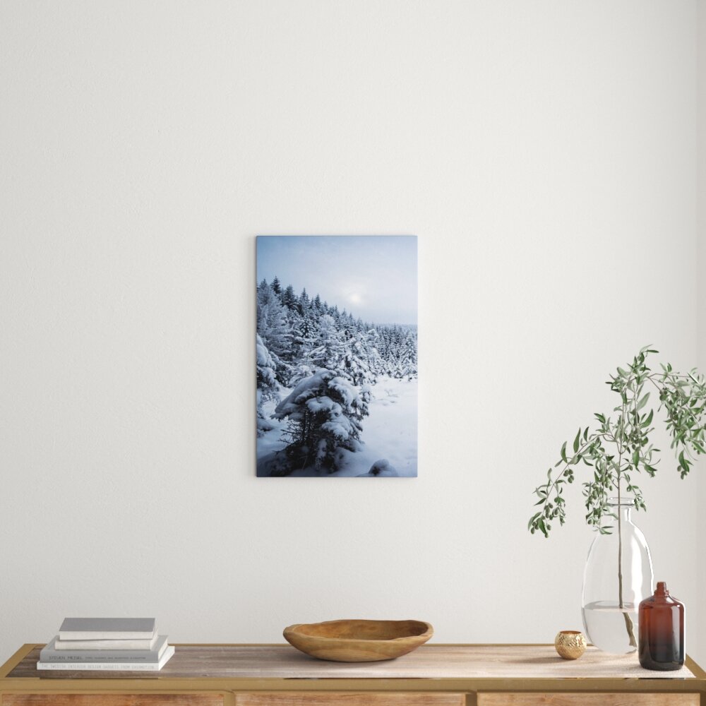 Leinwandbild Winterlandschaft vereister See, Fotodruck