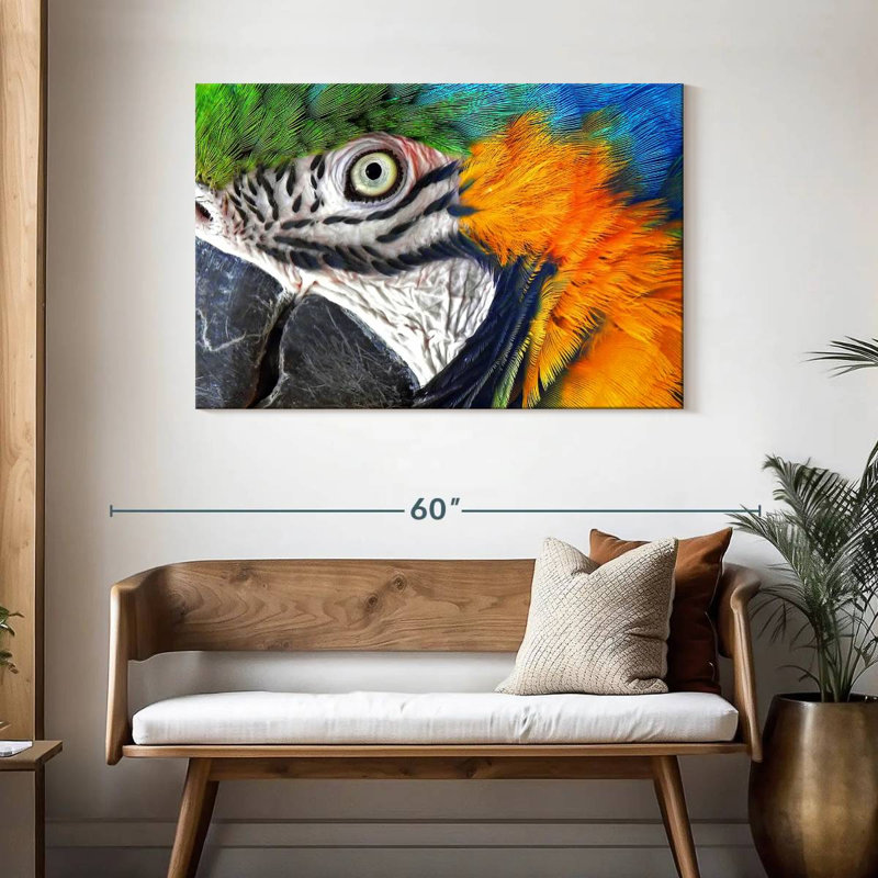 Brampt Macaw Eye, H 30 po x l 45 po
