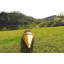 Kayak en bois 17-1 personnes-199736009