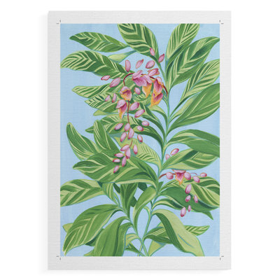 Tropical Shell Ginger II - Impression sur toile seulement - NON-CADRE
