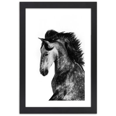 White Horse Galloping Animals - Single Picture Frame Print