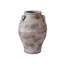 Avignon Jar