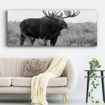 " Grand Teton Bull Moose "