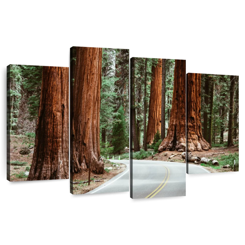 Harnek Sequoia Park Road
