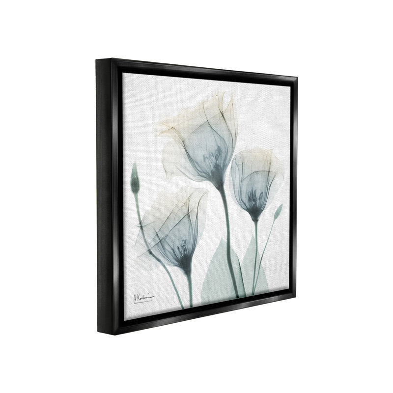 «Soft Opaque Tulips Floater Frame» par Albert Koetsier sur, Cadre flottant noir de jais, H 25 po x l 25 po