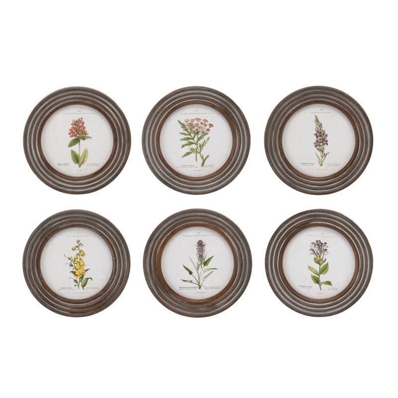Impression florale encadrée (ensemble de 6) P 9,5 po bois / panneau de fibres à densité moyenne / verre